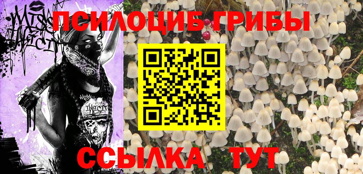 Конопля  Лсд 25  ЭКСТАЗИ  Наркошоп  Меф МЯУ МЯУ   Похвистнево  COCAIN  Гашиш  Вход с VPN  A PVP СК кристаллы  НБОМе 