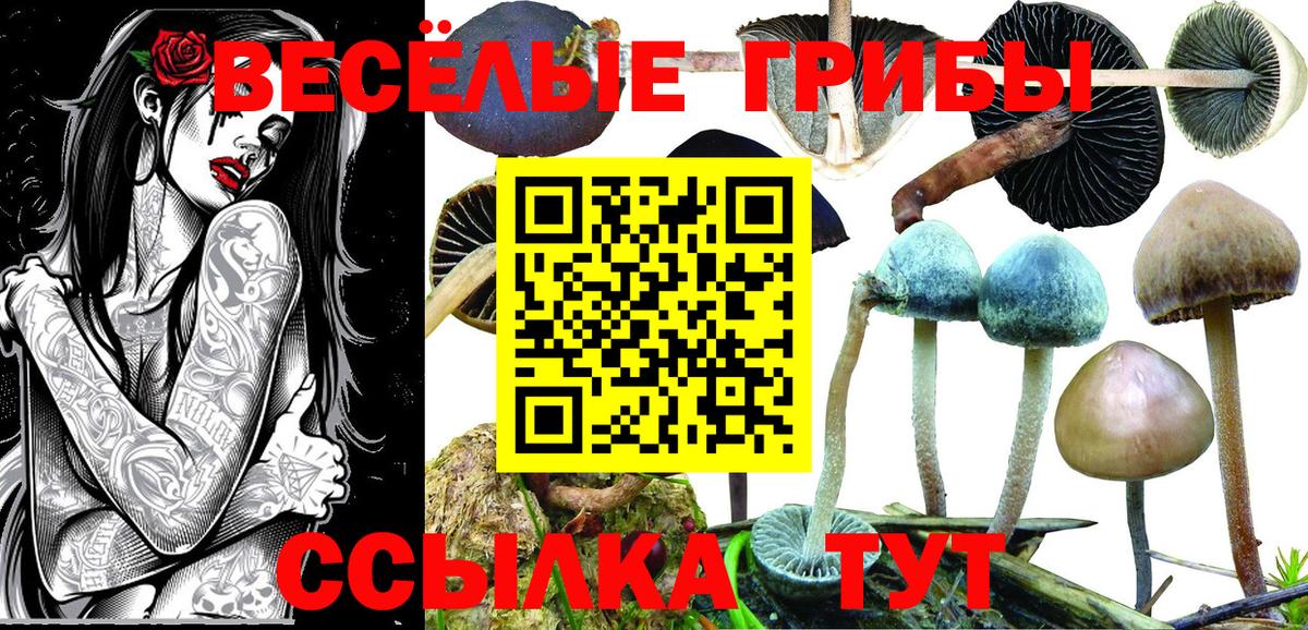 Псилоцибиновые грибы MAGIC MUSHROOMS  Вход с VPN  Похвистнево 