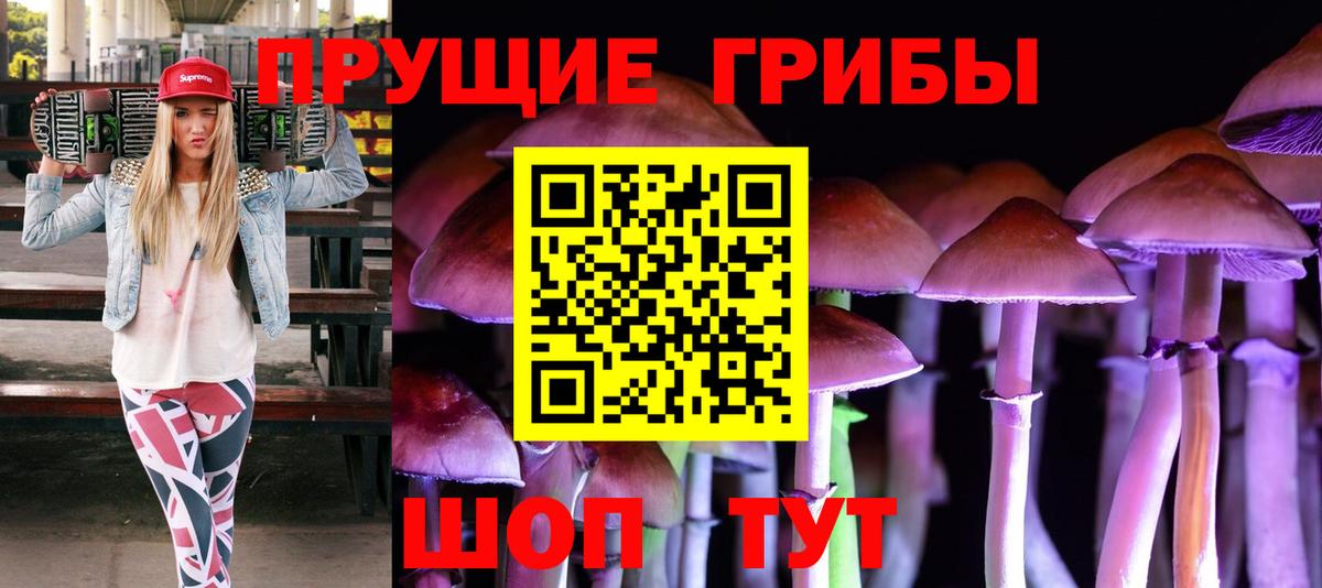 Псилоцибиновые грибы GOLDEN TEACHER Похвистнево